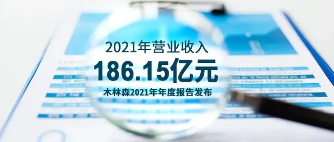 木林森2021年財報發(fā)布 歸母利潤同比增長284.1%