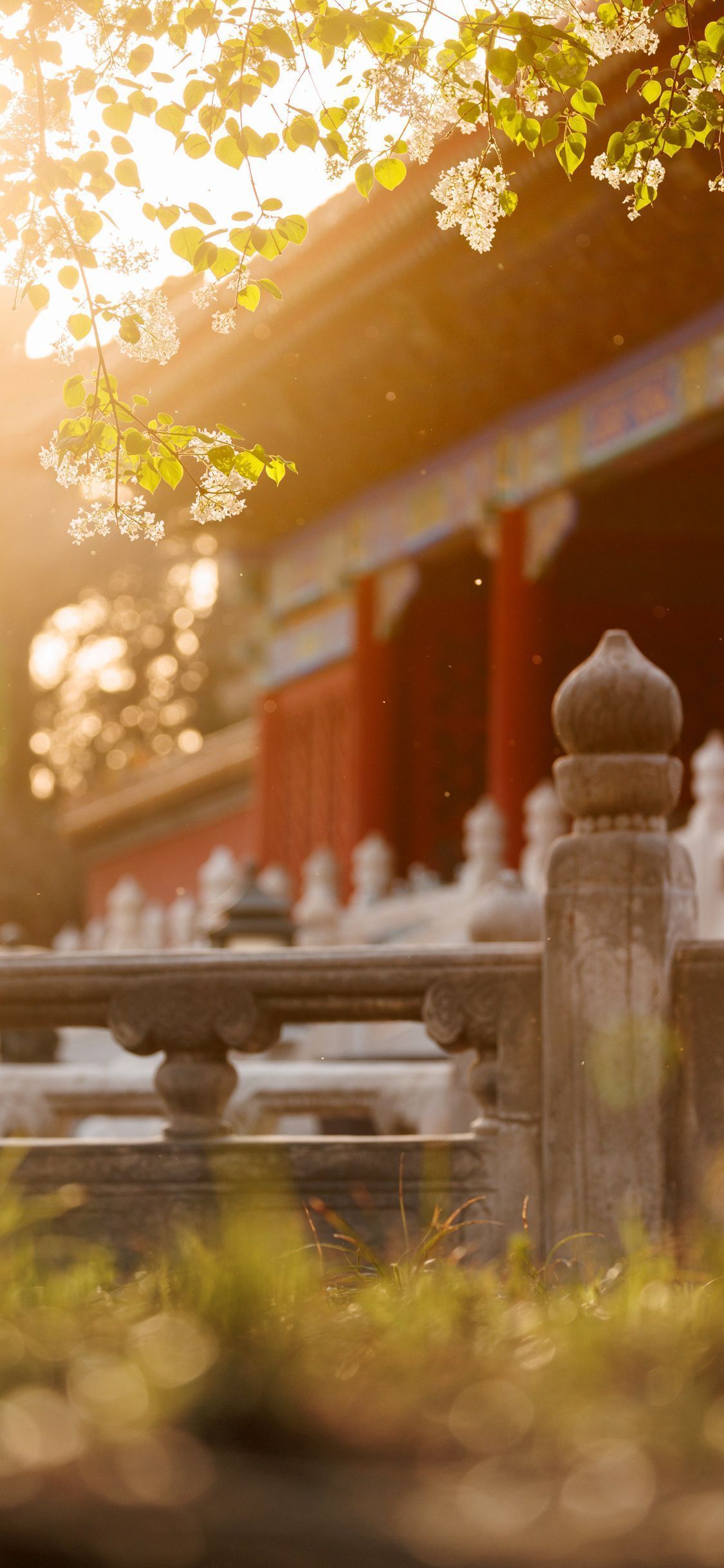北京故宫（紫禁城手机壁纸）美轮美奂！￼