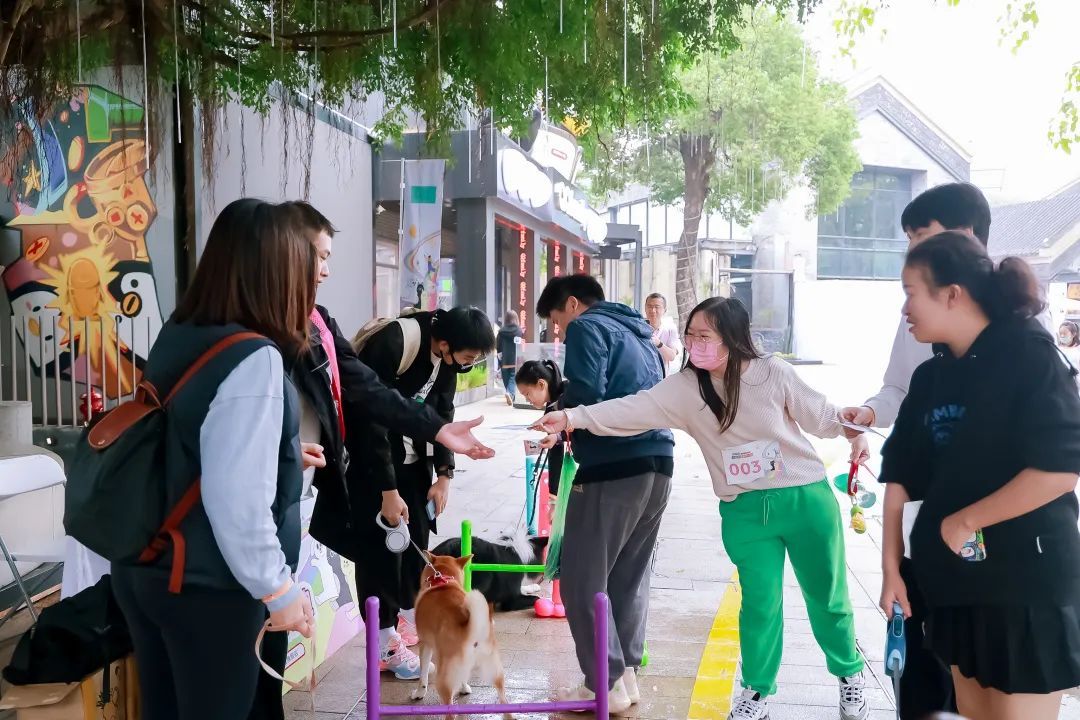 萌宠云集 欢趣绽放 | 首届 “觅嗷萌宠自然艺术节” 深圳站圆满落幕！