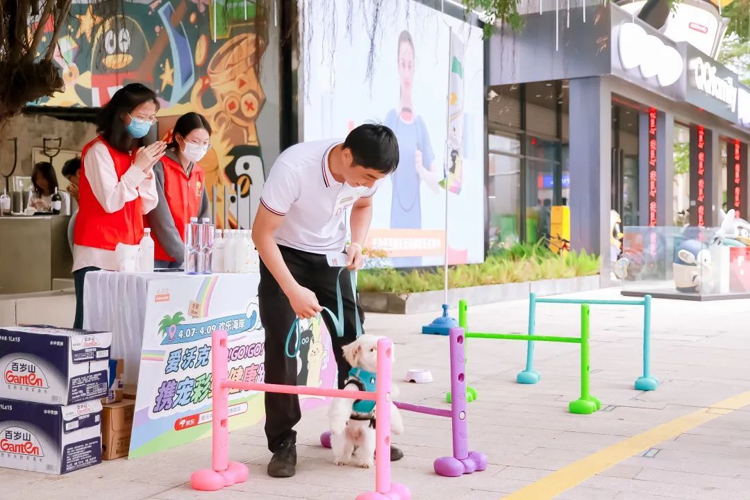 萌宠云集 欢趣绽放 | 首届 “觅嗷萌宠自然艺术节” 深圳站圆满落幕！