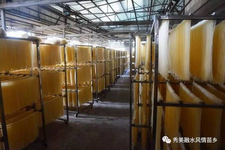 廣西桂林米粉烘干機廠家