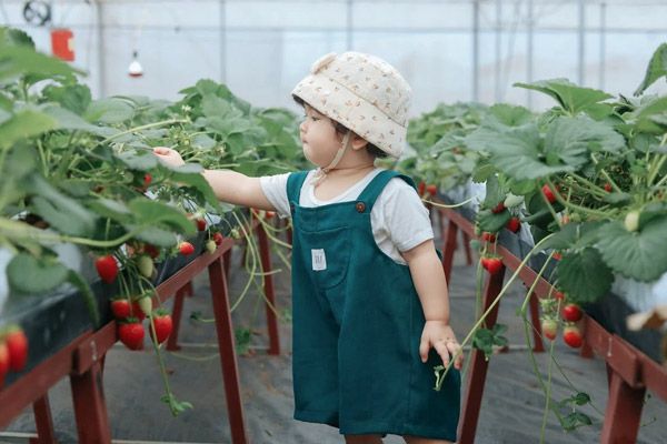 【进入乙脑高发期】成人同样需要做好防范，慎防蚊虫传播疾病!