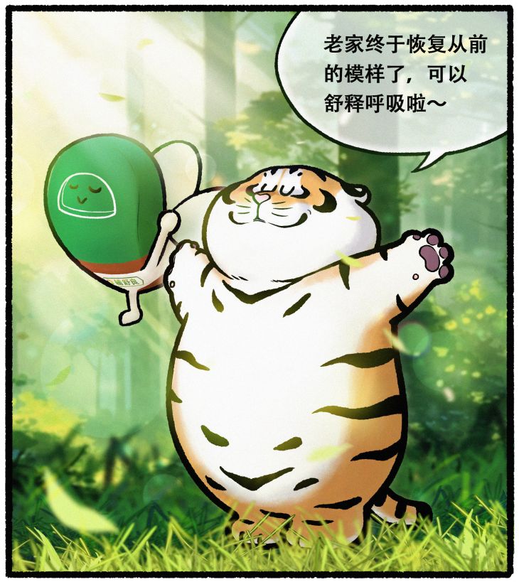辅舒良#地球呼吸计划# x中国绿化基金会再牵手，共同修复辽东山区红松生态林