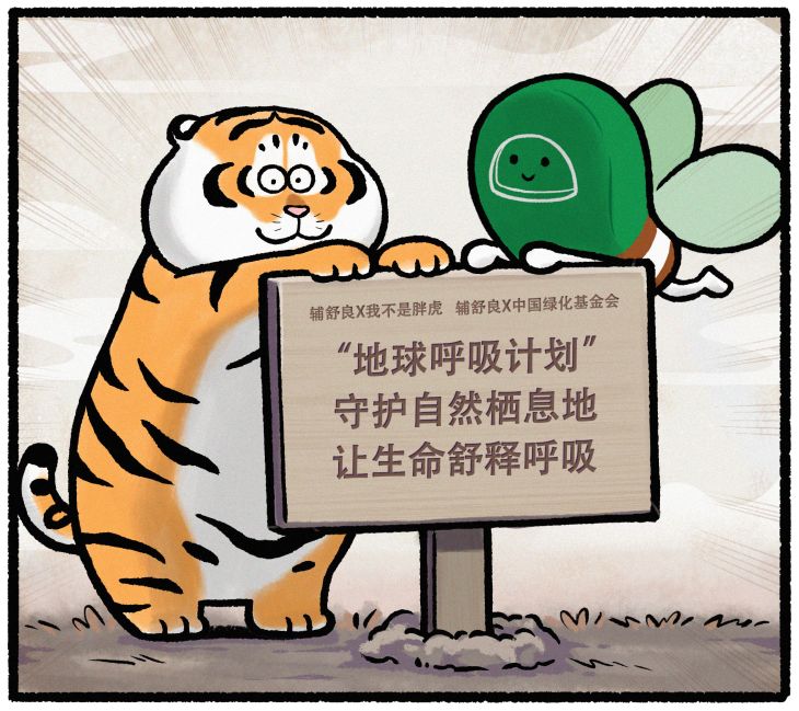 辅舒良#地球呼吸计划# x中国绿化基金会再牵手，共同修复辽东山区红松生态林