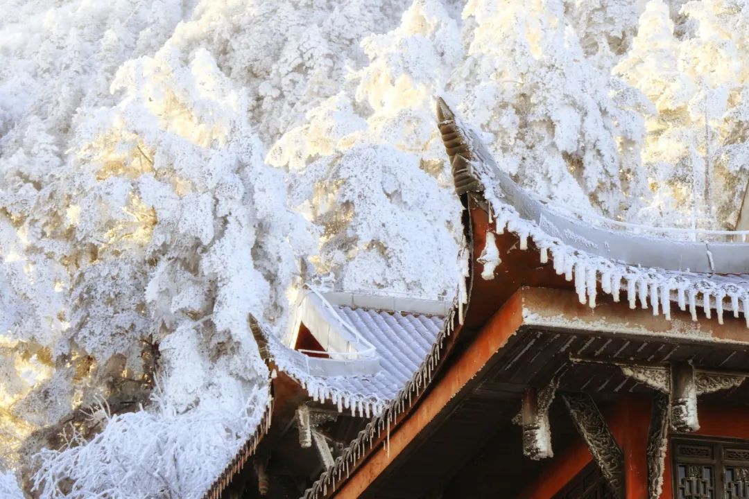 峨眉山冬天照片图片
