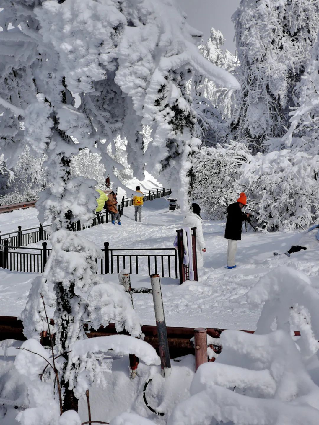 看雪滑雪玩雪峨眉山冬季雪景大片预告