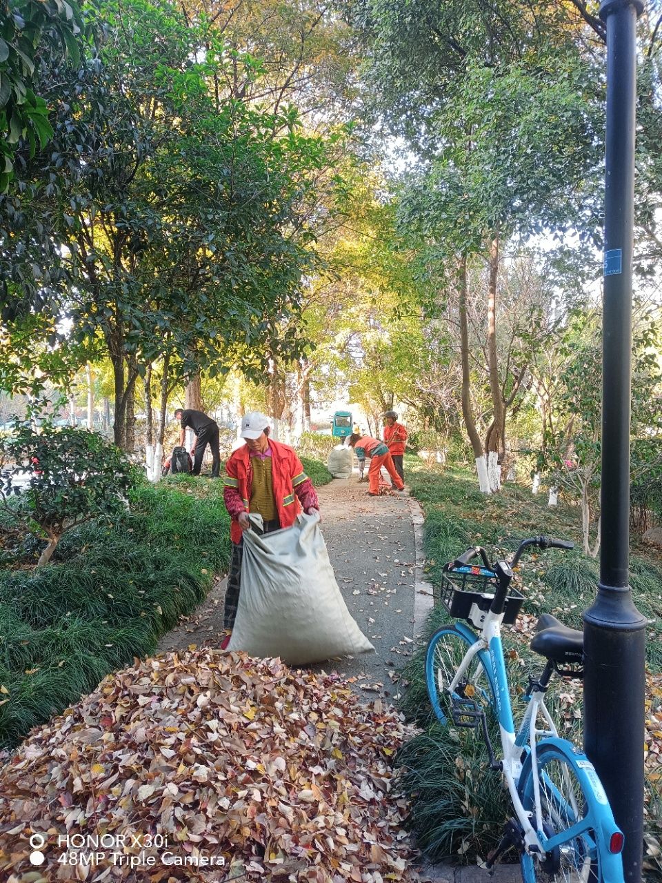 杭州上城彭埠街道河岸落葉清掃行動共建美麗城市