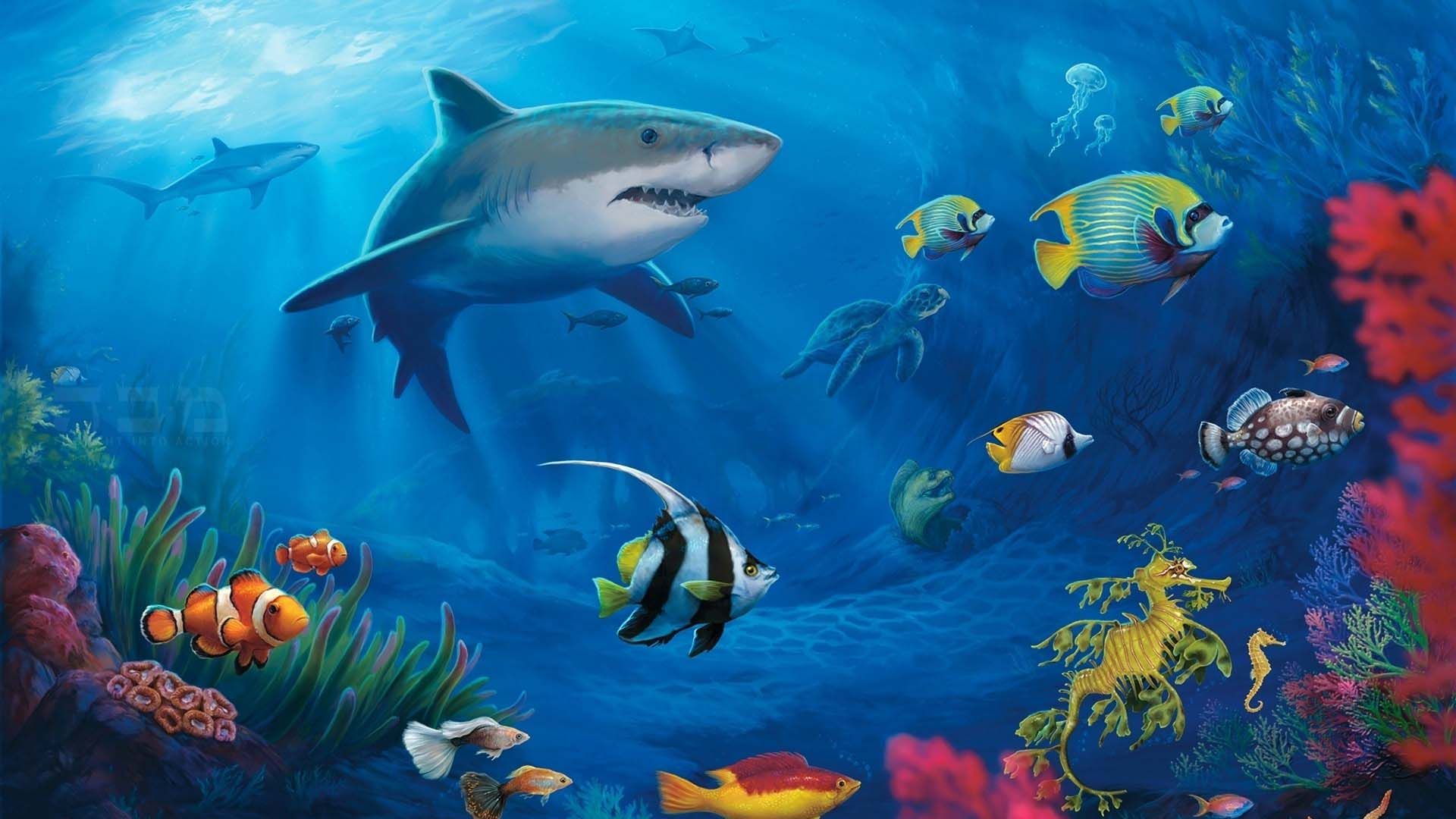 鲨鱼身体结构解析：独特功能与海洋生态的联系